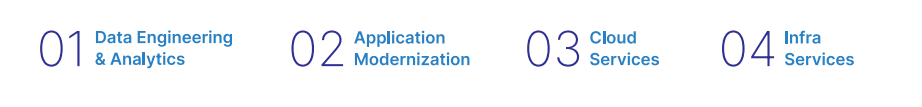 Nucleus Software Services