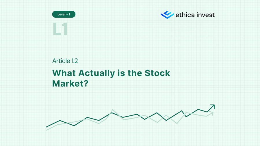 what actually is stock market