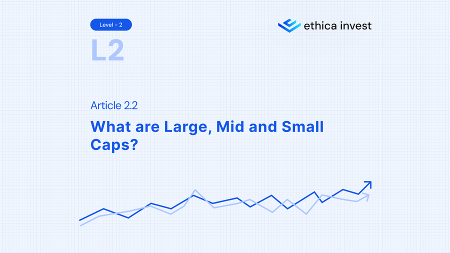 large, mid and small caps