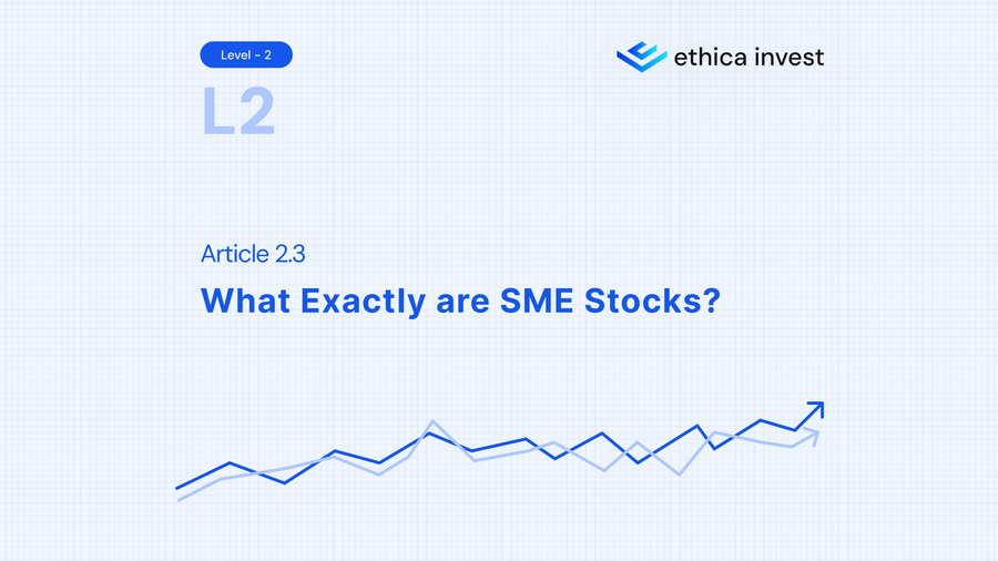 what exactly are sme stocks
