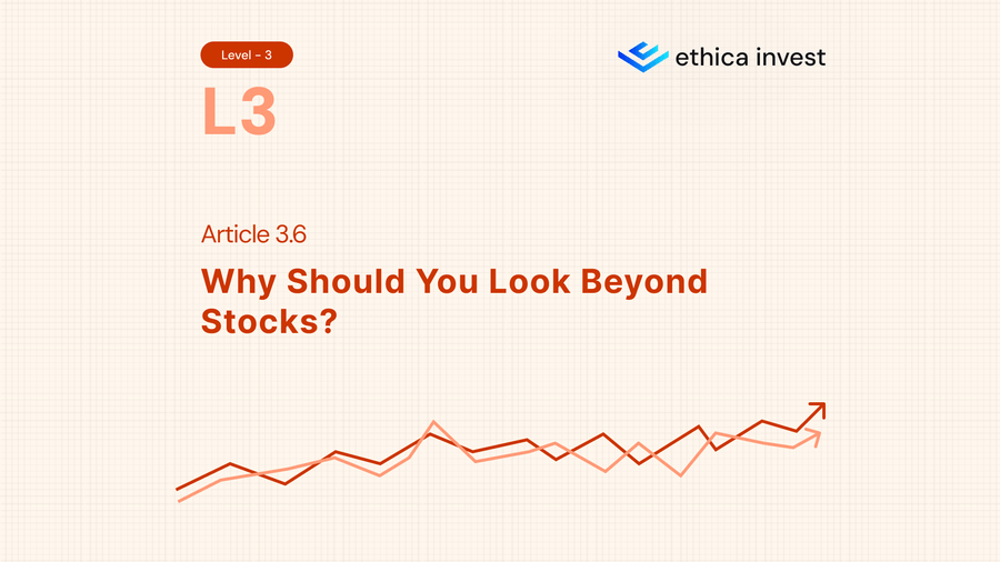 why should you look beyond stocks