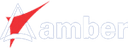 AMBER ENTERPRISES (I)