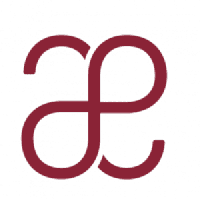 THE ANUP ENGINEERING Logo