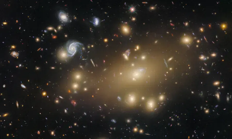 a cluster of galaxies source: NASA