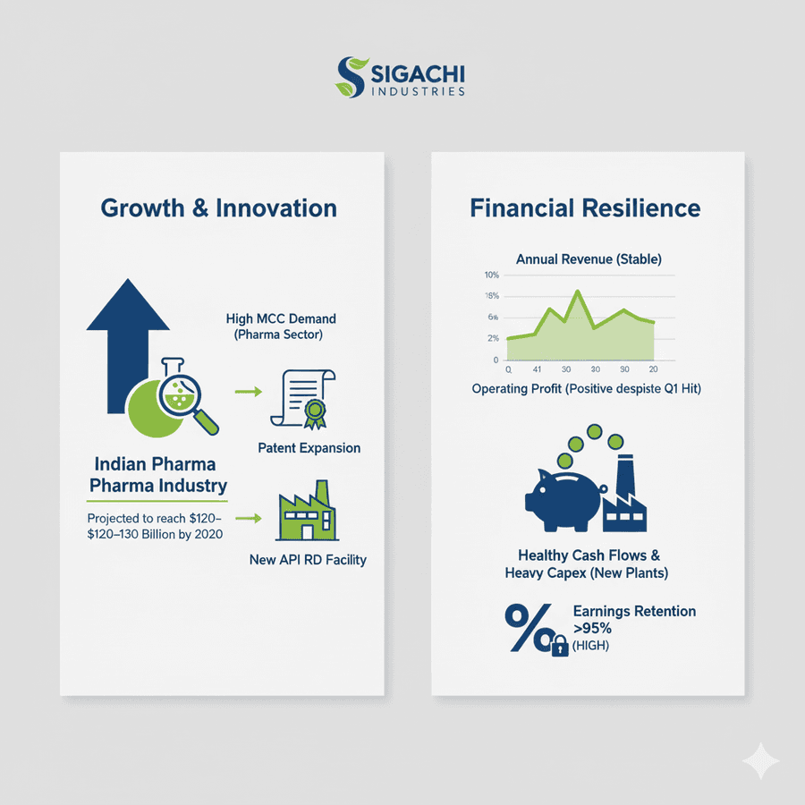 Sigachi maintains high earnings retention despite heavy capital expenditure.