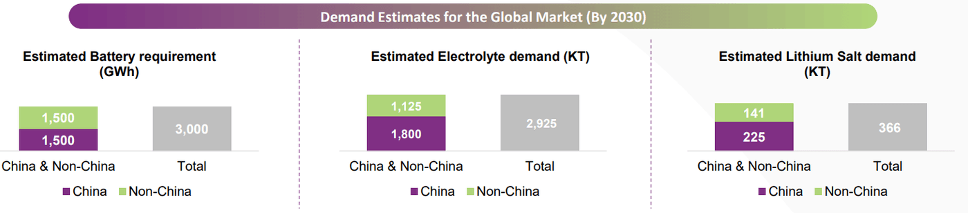 Demand Estimates for the Gloabal Market(China and Non-China by 2030)
